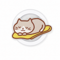 GripPro Magnetic Phone Ring Sleeping Cat